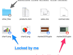 Locked Files