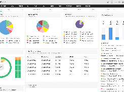 NetFlow Analyzer Screenshot 1