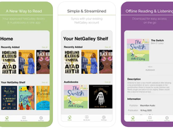 NetGalley Screenshot 1