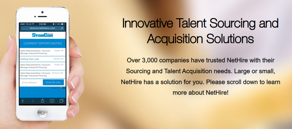 NetHire CMS Screenshot 1