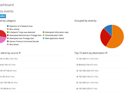 IPS report