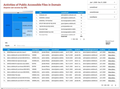 Netkiller DLP Screenshot 1