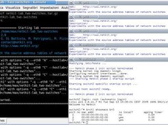 Startup of a complete virtual network