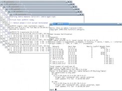 A complex lab for experimenting with BGP routing