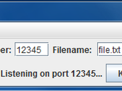 NetCat Listener