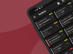 NetMod VPN Client Screenshot 2