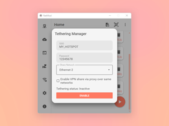 NetMod VPN Client Screenshot 4