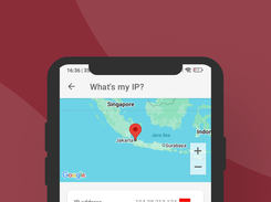 NetMod VPN Client Screenshot 4