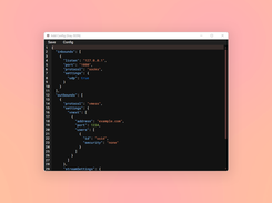 NetMod VPN Client Screenshot 6