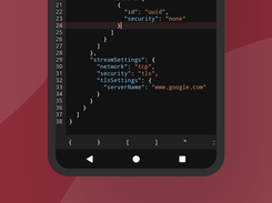 NetMod VPN Client Screenshot 6