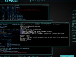 linux payload