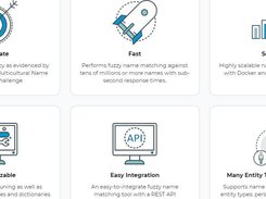 NetOwl NameMatcher Screenshot 1