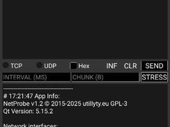 NetProbe Screenshot 2