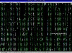 actual "look-and-feel" of netrafg desktop