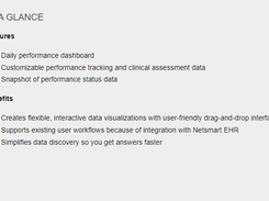 Netsmart KPI Dashboards Screenshot 2