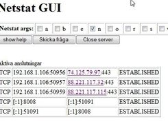 Netstat output with added address lookup links.