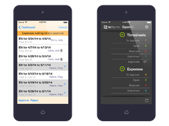 NetSuite OpenAir  Expense Management