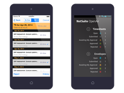 NetSuite OpenAir Timesheets