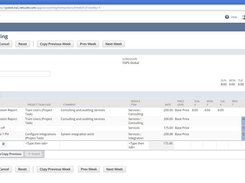 NetSuite SRP Timesheet Management