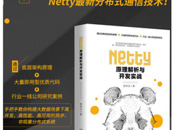 Netty 4.x User Guide Screenshot 1
