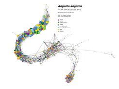Euopean Eel Populations (Pujolar et al. 2014)