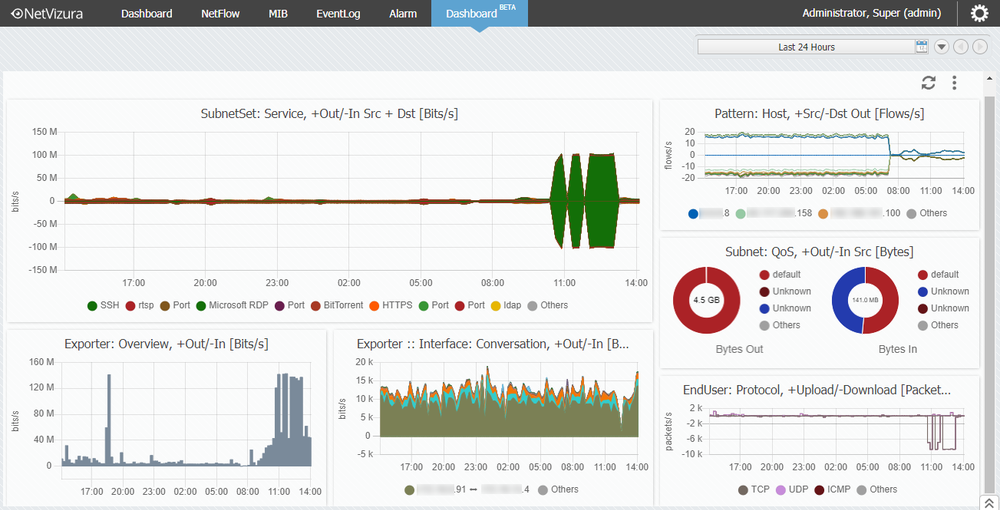 NetVizura NetFlow Analyzer Screenshot 1
