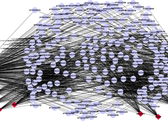 pPromotif Screenshot 1
