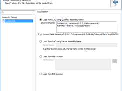 Specify the LoadAssembly Options