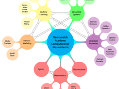 NeuroMatch Academy (NMA) Screenshot 1