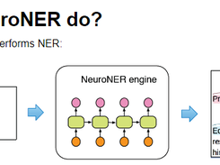 NeuroNER Screenshot 1