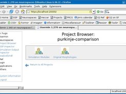 Purkinje cell comparative study: project browser