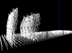 Network : 6 Purkinje, 6240 granule cells (330,000 equations)