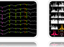 NeuroSuite Screenshot 1