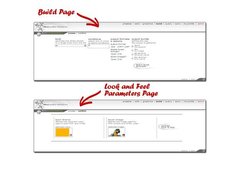 Build and Look & Feel Parameters Page