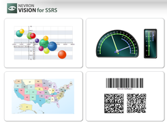 Nevron Vision for SSRS