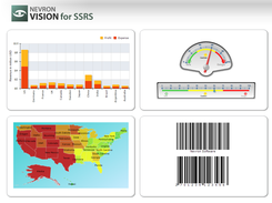 Nevron Vision for SSRS Controls