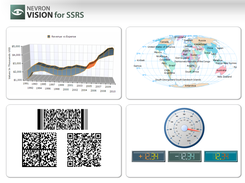 Vision for SSRS Controls