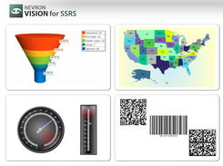 Nevron Vision for SSRS Controls