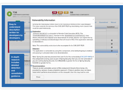 Sonatype Intelligence Screenshot 1