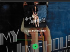 NexusM Media Server Custom Music Player