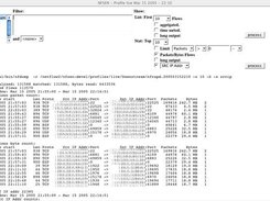 Netflow processing output