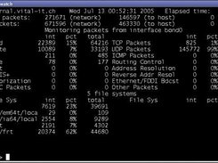 Sample output from nfswatch