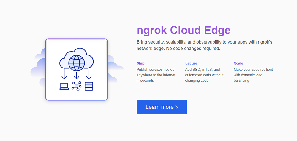 ngrok Screenshot 1
