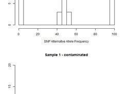 Contamination illustration