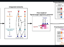 nichenetr Screenshot 1