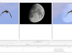 NicPic Screenshot 1