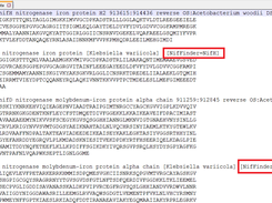 fasta_example.fasta result highlighting the Nif predicted sequences