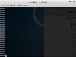 unicode_in.c execution