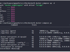 Nightingale Screenshot 2