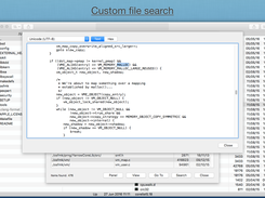 Custom file search